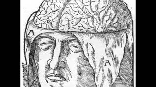 Huhnmensch - Amnesie