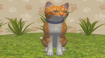 Cat Simulator 2020 - Gameplay Walkthrough Part 1 (IOS, Android)