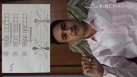 Xef4 Structure and bonding 