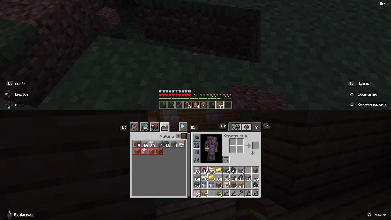 Minecraft Aleks i Mikołaj survival - YouTube