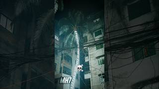 Bangladeshi Coconut Trees