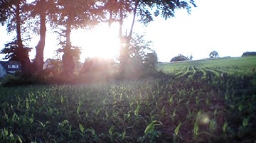 Flying the AR.Drone 2.0 and doing a "flip" - Watch out for the "tigers"!