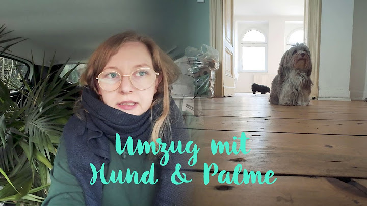 Erwin rides in the moving van 🚚 We're back | Vlog