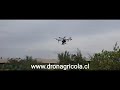 Dronagricola Chile, Fumigación en Paltos