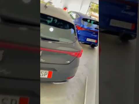 ليون روعة ولات تبغي ليريكا