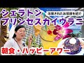 【プールサイドで朝食&ハッピーアワー】ハワイで新しくなったお部屋が気になる!立地最高でコスパの良いホテル「シェラトン・プリンセス・カイウラニ(PK)」病院や駐車場が便利すぎ!最新情報 家族連れハワイ