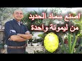 صناعة سماد الحديد في البيت من ليمونة واحدة, Making Iron Fertilizer With Only One Lemon At Home