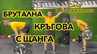 видео: Кръгова тренировка с щанга и как сами да си съставим такава ! картинка: Кръгова тренировка с щанга и как сами да си съставим такава !