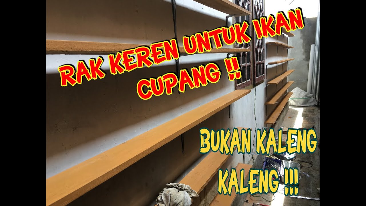 INI DIA RAK  KEREN MURAH  TERBAIK UNTUK IKAN CUPANG  