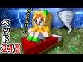 24時間ベットから降りてはいけないマイクラ 災害が起きて大ピンチの中生活できる ぴこみんず 24時間ベットから降りてはいけないマイクラ 災害が起きて大ピンチの中生活できる ぴこみんず