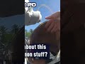 Shoplifter hides in Tesla trunk to avoid police