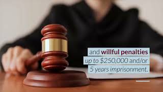 2025 FBAR Filing