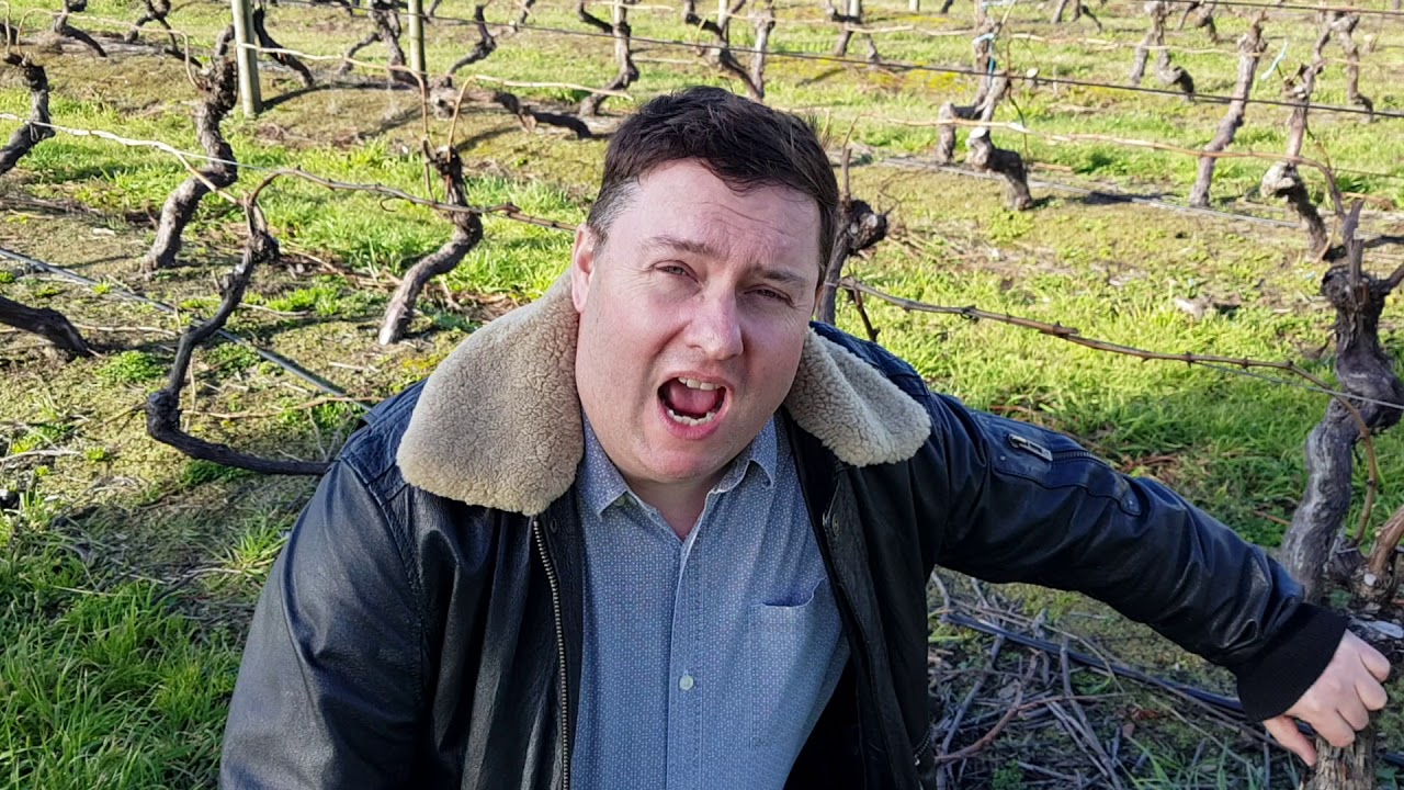 Wine Making podcast YouTube