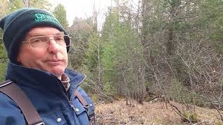 Tips for Wadeable Stream Habitat Surveys Using Michigan DNR Fisheries Division Status & Trends Rando