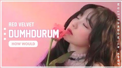 How Would RED VELVET (레드벨벳) Sing APINK (에이핑크)- 