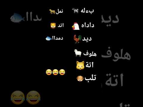 راحت هيبه النمر