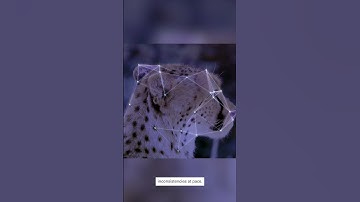 Using AI for audit processing #shorts