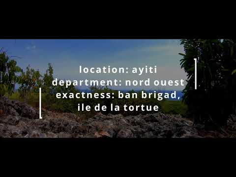 BANN BRIGADE  |  ILE DE LA TORTUE, TORTUGA ISLAND, HAITI - S2Ep4 [ i&  that  of  the  turtle ]