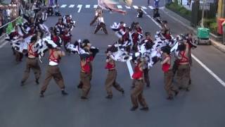 20160611長崎大学突風よさこいソーラン祭り大通り南5上から