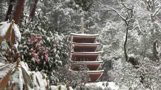 大雪の室生寺　奈良　muro-ji  snow