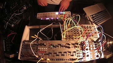 Intellijel Atlantis & Metropolis + Beatstep PRO