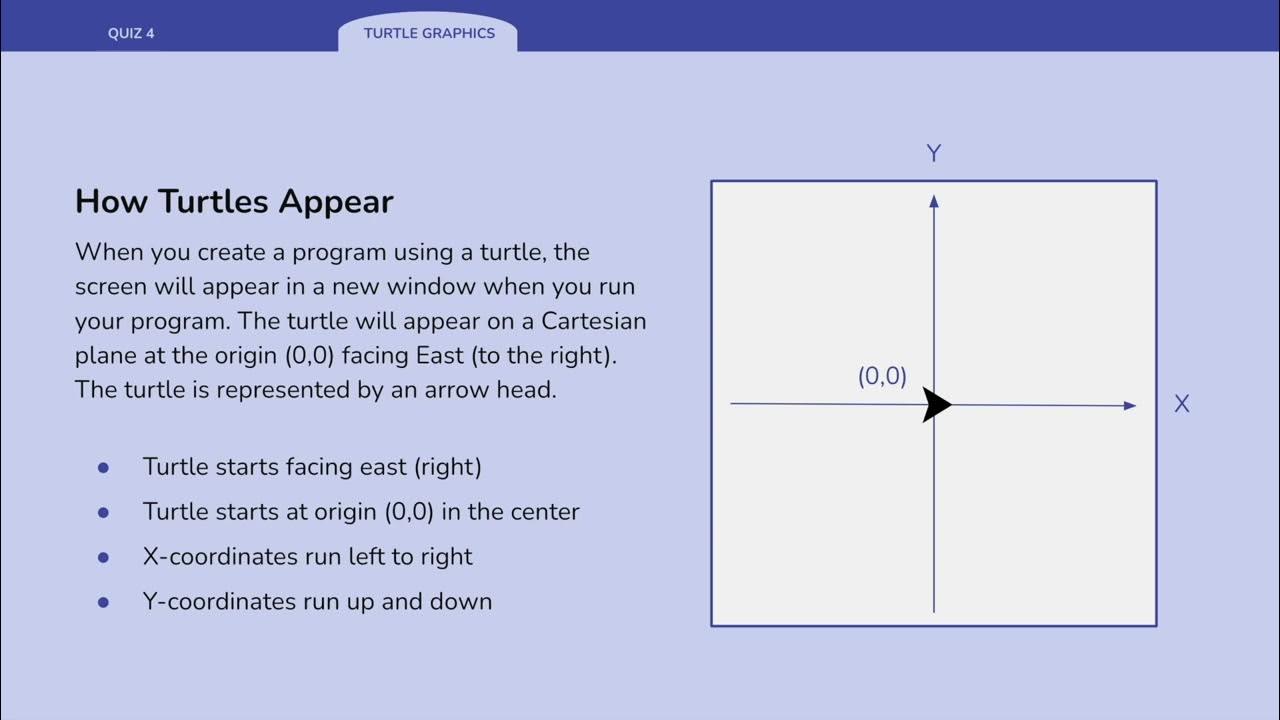 Turtle Graphics in Python | Lecture - YouTube