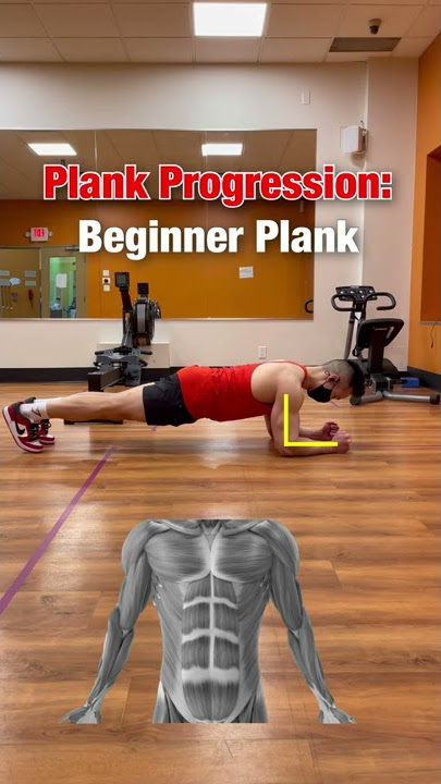 Plank Progression (DO THESE FOR ABS‼️) #shorts