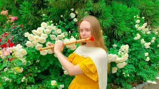 Bansuri Beauty and the Beast Cover