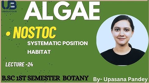GENUS - NOSTOC | ALGAE | B.Sc. first semester Botany part-1