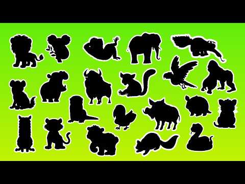 👀 Who Is Hiding? Guess All the Animals by Their Shadow! 🦁🐘