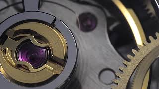 Omega Speedmaster Movement And Dial Macrovideo