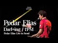 4K Darl Ing 7시에 들어줘 7PM 페더 엘리아스 내한공연 Peder Elias LIVE IN SEOUL 
