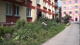 Футаж Летняя Прогулка В Академгродке 000592