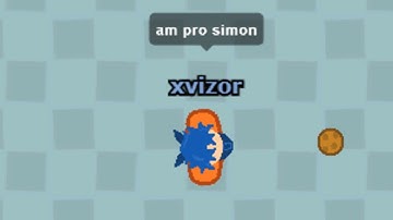 The Modd Simon Says Experience