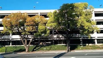 HTC One (M8) Duo Cam Seasons Demo