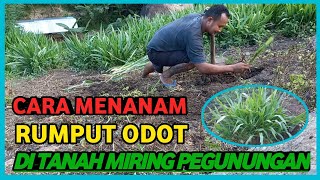 HOW TO PLANT ODOT GRASS IN THE MOUNTAINS