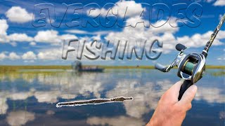 Here's Why You Have To Be Careful Fishing The FLORIDA EVERGLADES!
