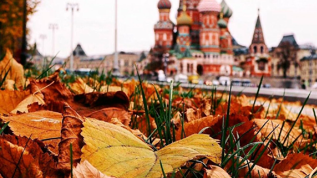 Самая теплая ночь была зафиксирована в Москве. В Бишкеке солнечно и без осадков. Погода в СНГ