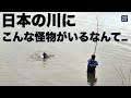 【奇跡】“数年かけても釣れない”という、幻の巨大魚との出会い。釣りは本当に素晴らしい趣味だと思う。