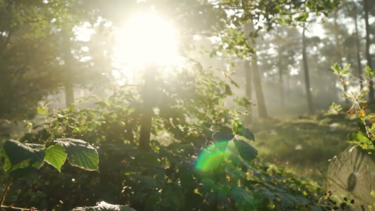 7. Set to Nature: Agony In the Garden