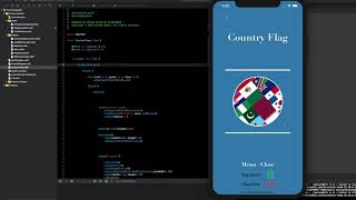 FlagWiki IOS SwiftUI Application & Game screenshot 3