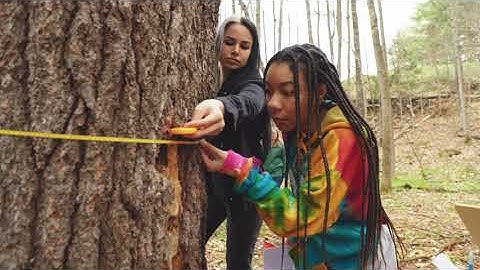 NEW Gateway-2-Plattsburgh partnership between North Country Community College and SUNY Plattsburgh.