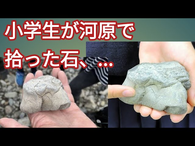 小学生が河原で拾った石、実は半世紀ぶり発見の希少構造持つ石だった
