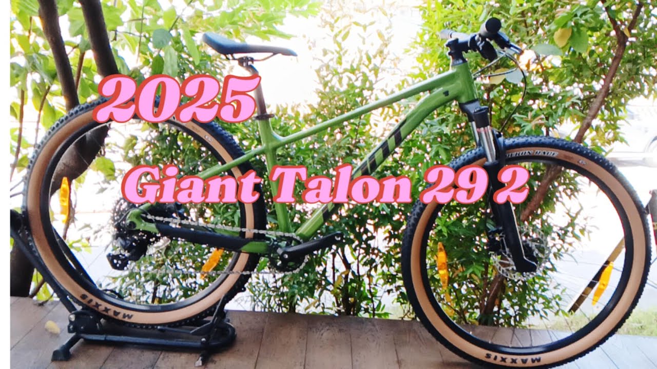 2025 Giant Talon 29 2 - Dried Matcha |Microshift Advent Groupset