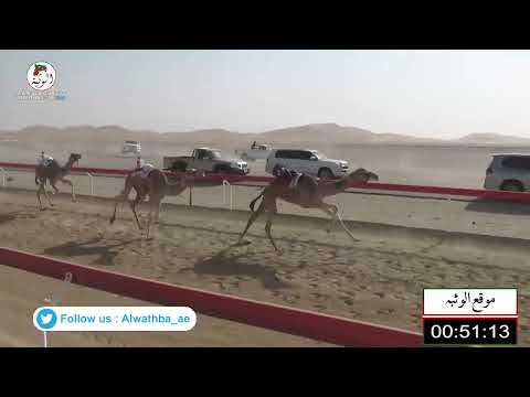 الشوط 9 الكايده لـ سهيل نخيرات الدوده العامري 1 48 71 شارة الصندوق 2022 1 29 فطامين الوقن