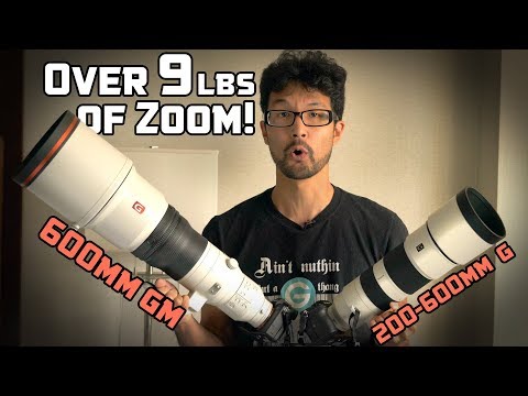 Sony 600mm GM and 200-600mm G Hands On!