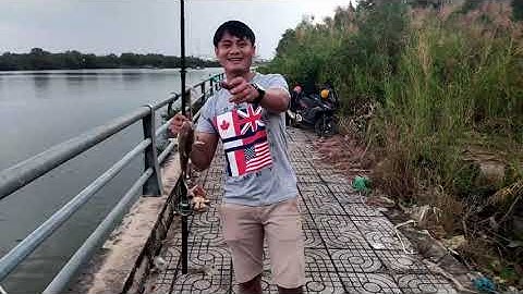 Câu cá úc ở nhà bè #fishing #cauca #câucá