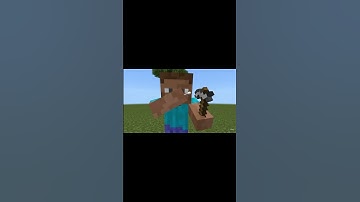 Steve Cleans His Ear With a Pickaxe… Finds Diamonds 💎👂