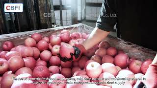 Large fruit cold chain storage warehouses by CBFI Icesource Group 109 views 5 months ago 1 minute, 41 seconds