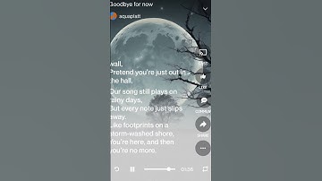 Goodbye for now-Aqua platt #music #song #lyrics